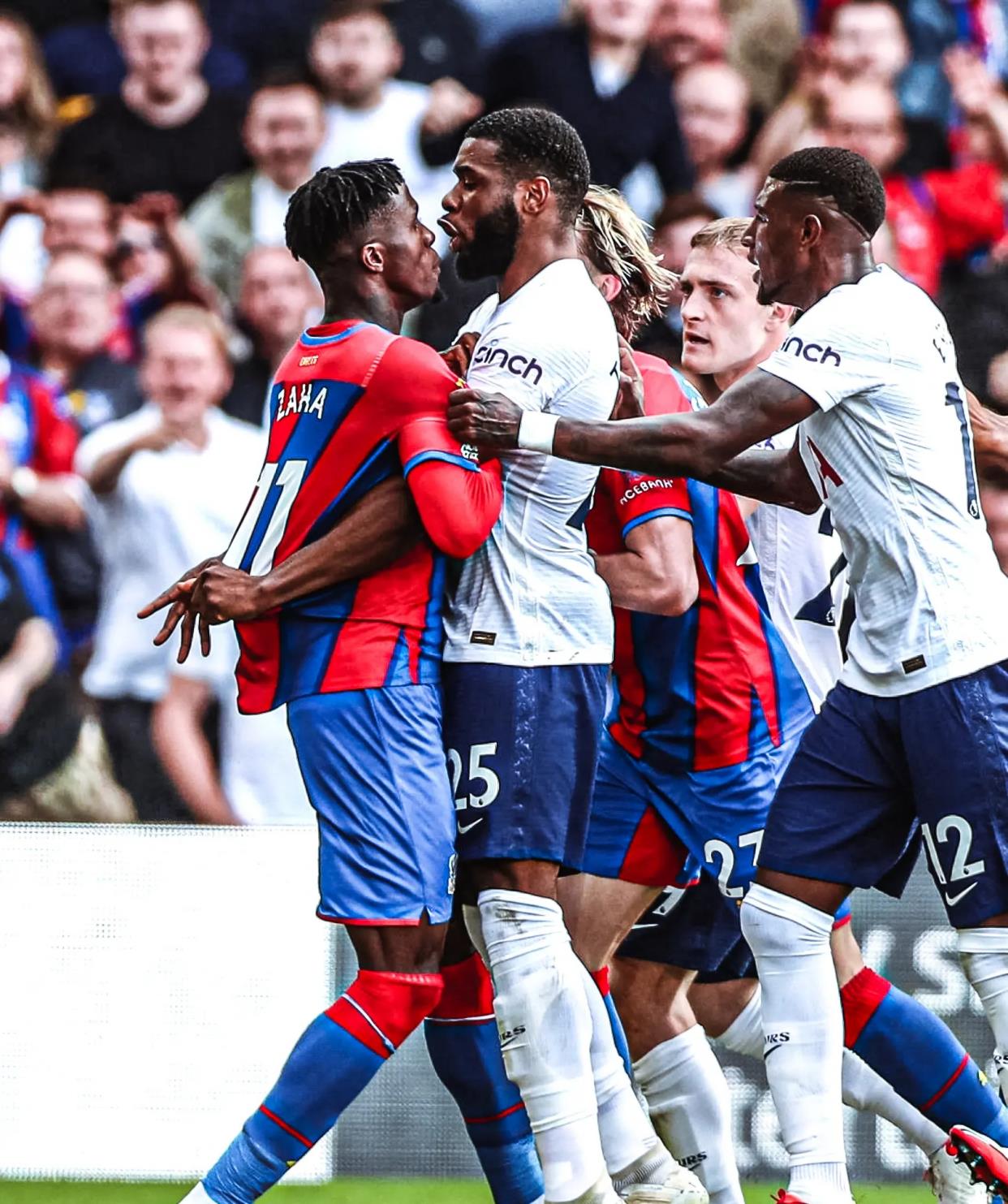 的职业联赛 的职业联赛